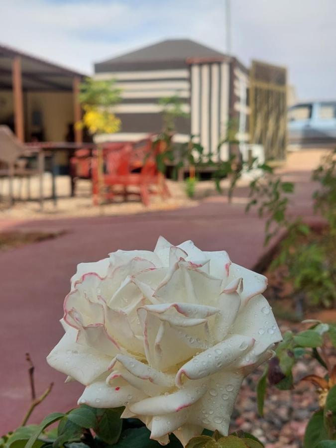 Wadi Rum Oryx Hostel & Tours Eksteriør billede