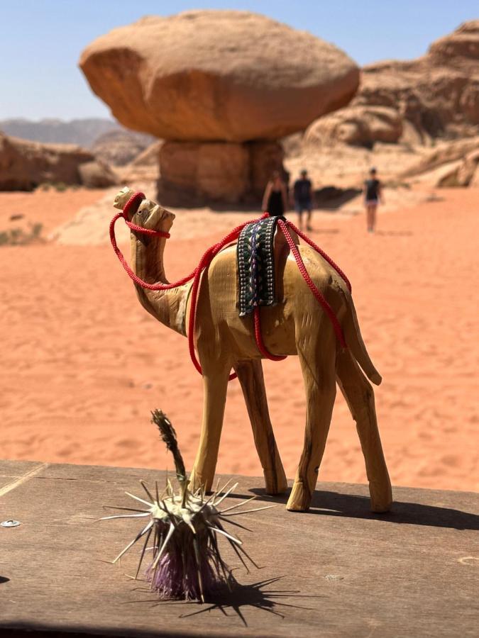 Wadi Rum Oryx Hostel & Tours Eksteriør billede